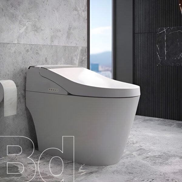 inodoro-funzionale-one-piece-amb