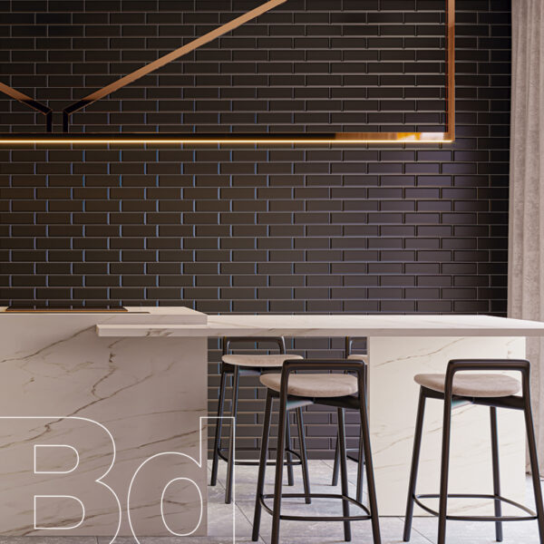 fachaleta-savane-petroleo-amb